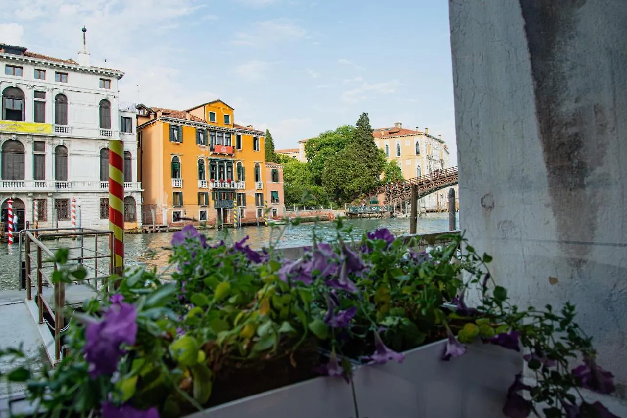 Luxury On The Gran Canal With Wonderful View Venecia